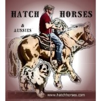 Hatch Aussies Australian Shepherd Dog breeder