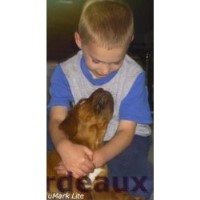Littellbordeaux Dogue De Bordeaux breeder