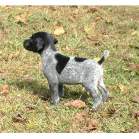 Shady Meadows Kennel German Shorthaired Pointer Breeder In Hume