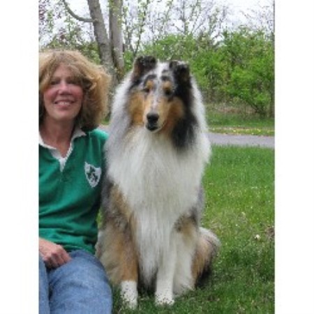 Rivendell Collie Breeder In Mazomanie Wisconsin