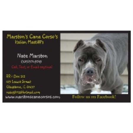 Marstons Cane Corsos Cane Corso Breeder In Stronghurst