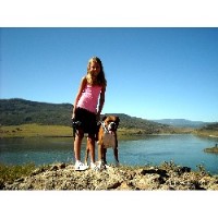 Kloud 9 Boxers And Pugs Pug breeder