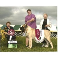 Ashber Farms Mastiff breeder