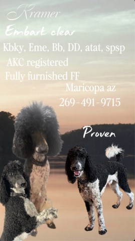 Ocotillo Ranch & stud service