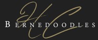 HC Bernedoodles Bernese Mountain Dog breeder