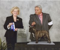 TRUEGABULLDOGS, LLC French Bulldog breeder