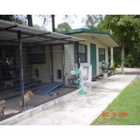 Just Labs Kennels Labradoodle breeder