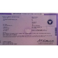 Ravenholz German Shepherd Dog for breeder