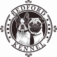 Bedford Reg'd Kennel Boston Terrier breeder