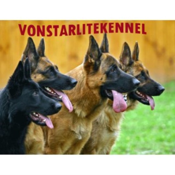 German Shepherd Dog Breeder 25262