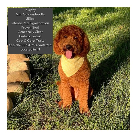 Stoney Field Family Farm