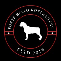 Forte Bello Rottweilers Rottweiler breeder
