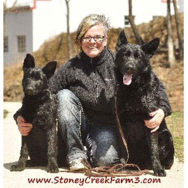 German Shepherd Dog Breeder 11969