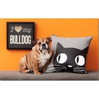 Bennett's Bullies English Bulldog for breeder