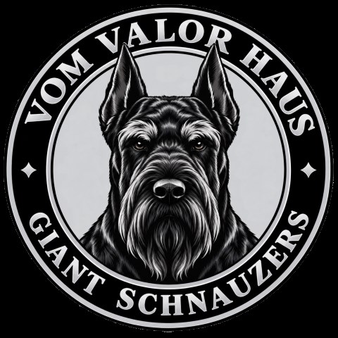 Vom Valor Haus