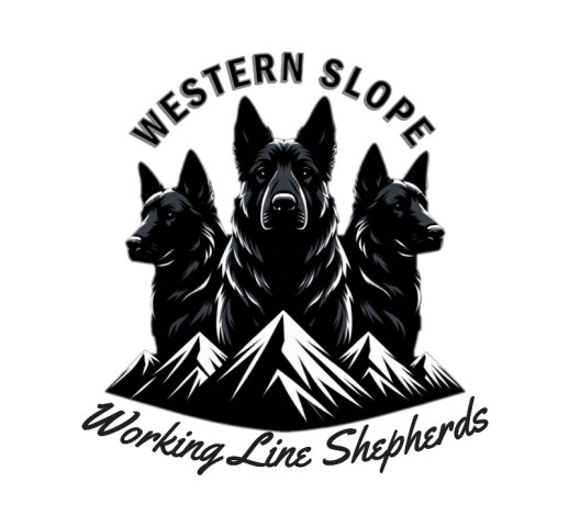 Western Slope Working Line Shepherds LLC