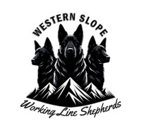 Western Slope Working Line Shepherds LLC German Shepherd Dog breeder