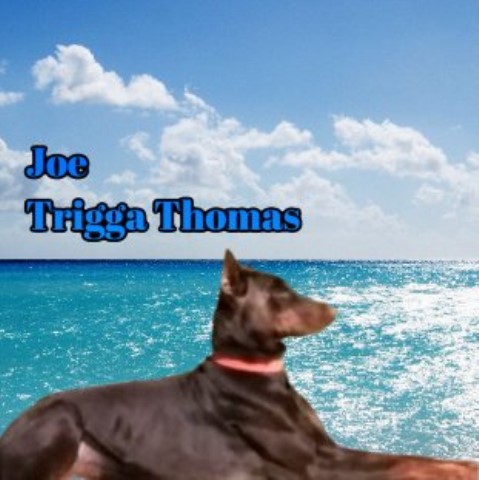 Service Joe Trigga Thomas