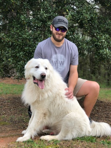 Great Pyrenees Stud 27386