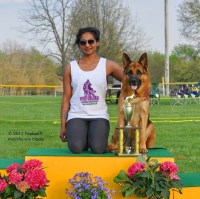 NadarK9 German Shepherd Dog breeder