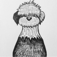 Old English Sheepdog thumbnail