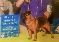 Voss Valley Ranch Brussels Griffon breeder