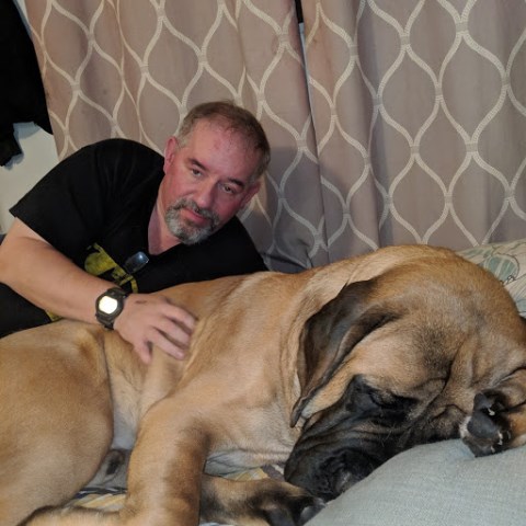 Hawk & Steves Mastiff