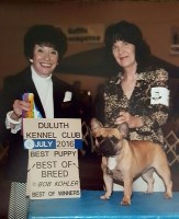 Jeanie Foster - French Bulldog Breeder French Bulldog breeder