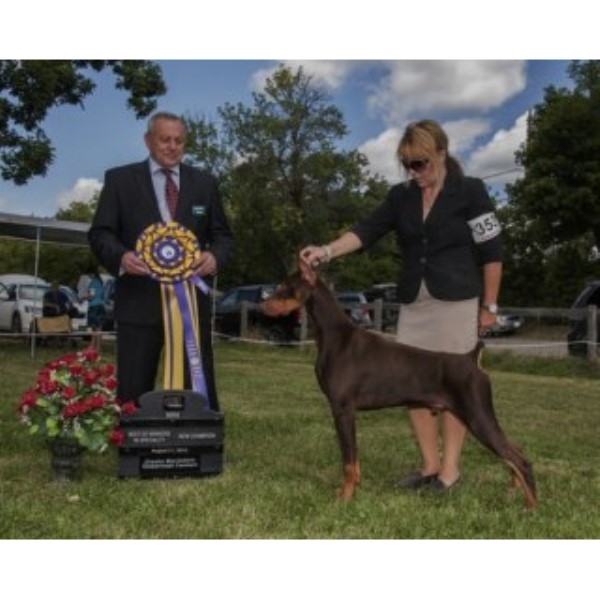 NIGHTFLIGHT REG'D Dobermans