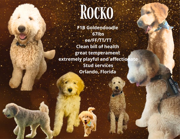 Walk By Faith Doodles