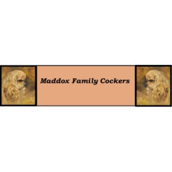 Maddox Family Cockers