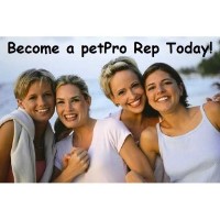 Become a petPro Rep Today! Yorkshire Terrier breeder