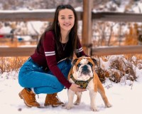 Dylan Bonge - English Bulldog Stud