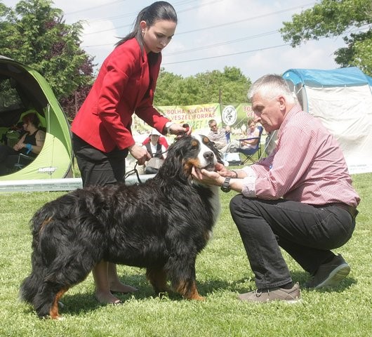 Champion Creek Kennel