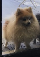 Lupea Federmack Enterprises