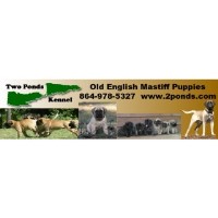 Two Ponds Kennel Mastiff breeder