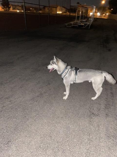 Marco