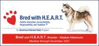 Alaskan Malamute thumbnail