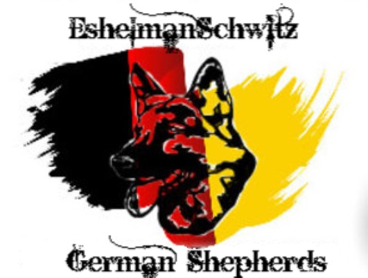 EshelmanSchwitz German Shepherds
