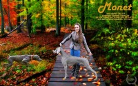 Weimaraner thumbnail