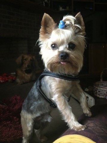 Bonnie and Robert Johnson