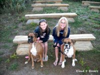 Kloud 9 Boxers and Pugs Boxer breeder