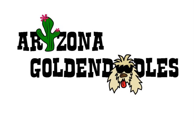 Arizona Goldendoodles