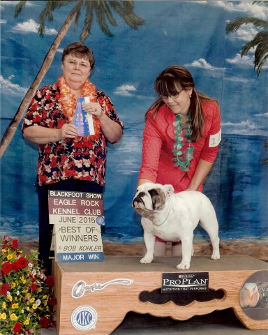 Rocky Mountain Bulldogs