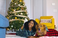 Tiara Bobbsemple - Golden Retriever Stud