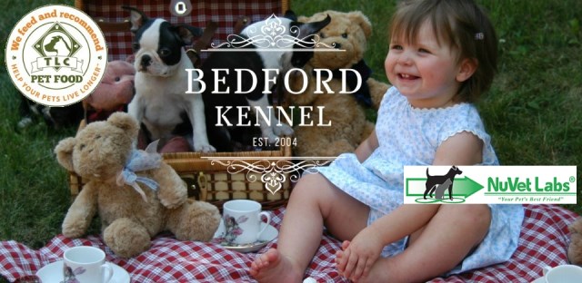 Bedford Reg'd Kennel