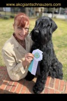 Jordan Giant Schnauzers
