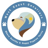 West Coast Cavaliers Cavalier King Charles Spaniel breeder