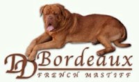 DDBordeaux Dogue De Bordeaux breeder