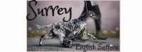 Last Breeder Listed